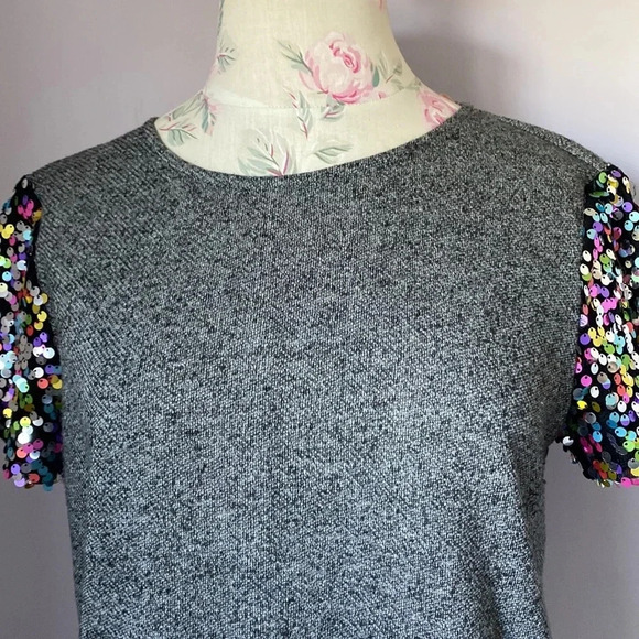 Hutch short sleeve top with sequin sleeve size XS - Picture 4 of 12